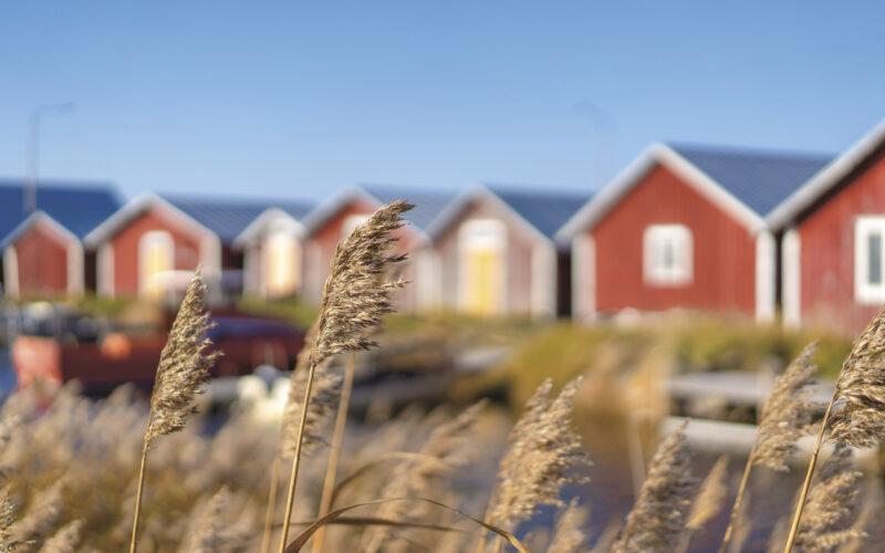 Image for Kahden kielen lakeudet